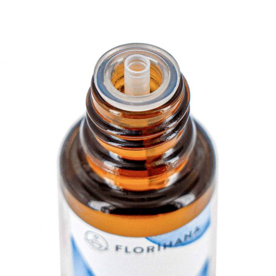 balsam-fir-organic