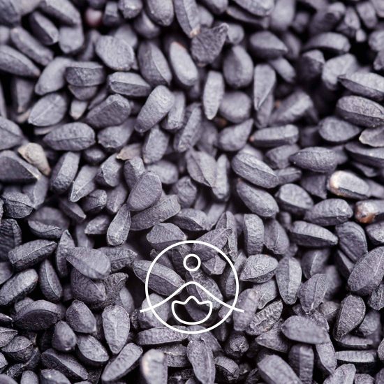 black-cumin-organic