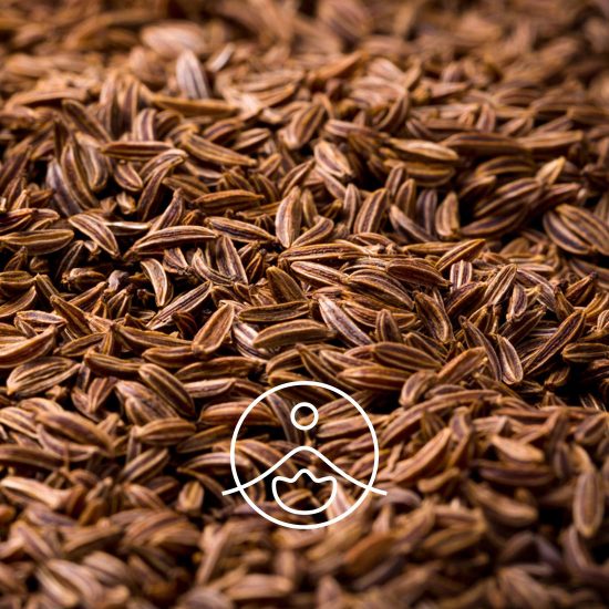 caraway-organic2