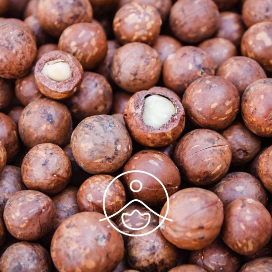 macadamia-organic