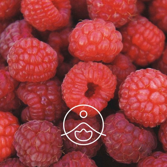 raspberry-seed-organic2