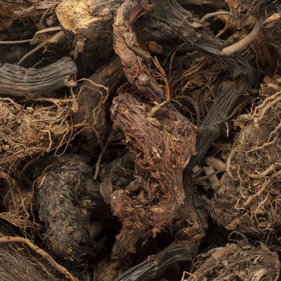 spikenard-organic_2