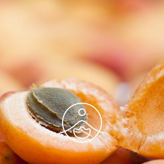 xapricot-seed-organic.jpg.pagespeed.ic.XG75LcN9wI