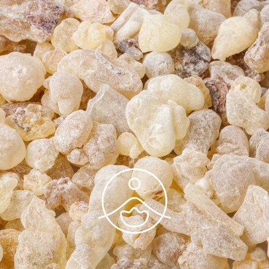xcopaiba-organic.jpg.pagespeed.ic.ZlEWNnvQe9