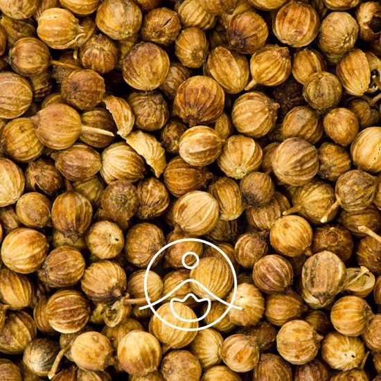 xcoriander-seed-organic.jpg.pagespeed.ic.hQZH4bQifI