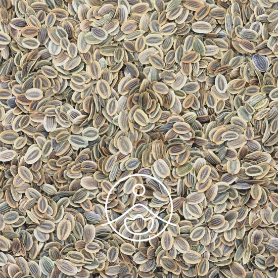 xdill-seed-organic.jpg.pagespeed.ic.q123u5ipnU