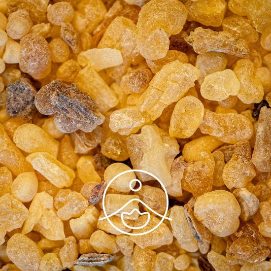 xfrankincense-organic.jpg.pagespeed.ic.ogADLljOM4
