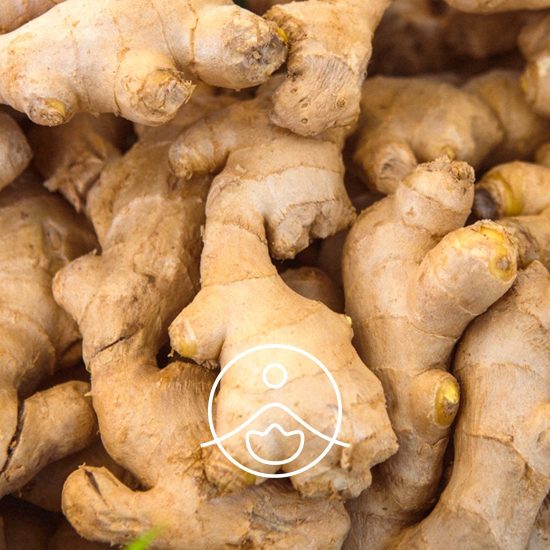 xginger-organic.jpg.pagespeed.ic.tyXDShKowx