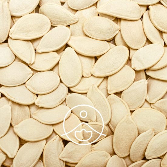 xpumpkin-seed-organic.jpg.pagespeed.ic.6bHb6UfJZP