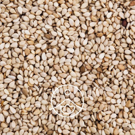 xsesame-organic.jpg.pagespeed.ic.1qMm5VMBnb