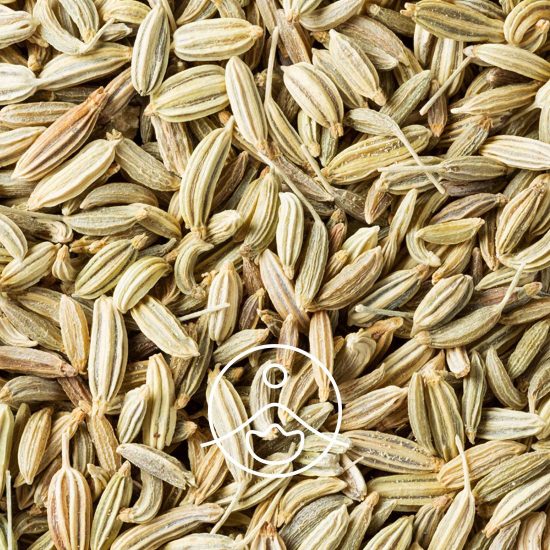 xsweet-fennel-organic.jpg.pagespeed.ic.GZFVVcIgLw