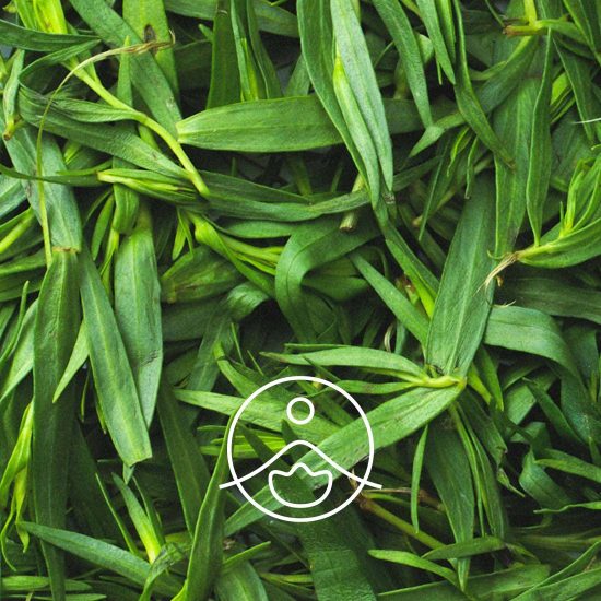 xtarragon-organic.jpg.pagespeed.ic.gc0_WmXM_W